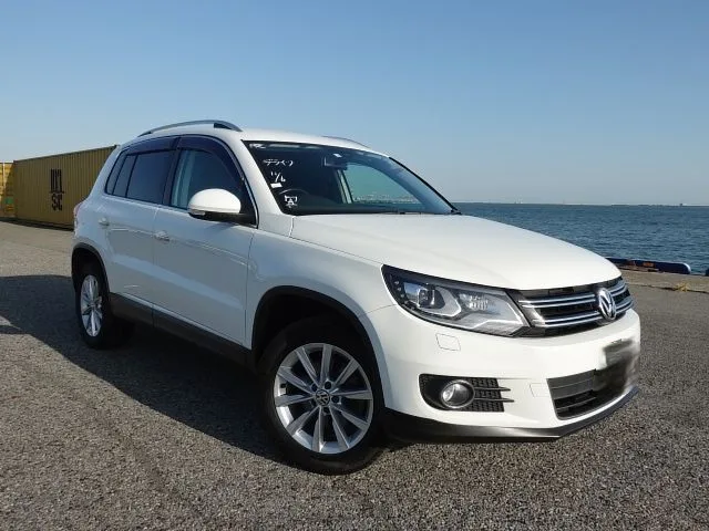 2016 VOLKSWAGEN TIGUAN ABA-5NCCZ